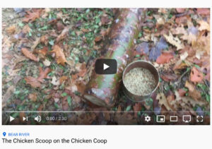 Video: The Scoop on the Coop