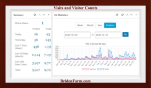 Stats Show 9272 Visits