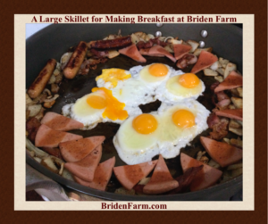 A Large Skillet for Making Breakfast at Briden Farm