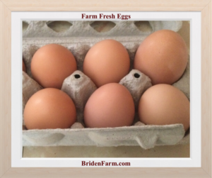 Farm Fresh Eggs