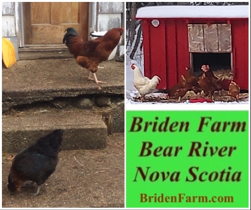 Briden Farm