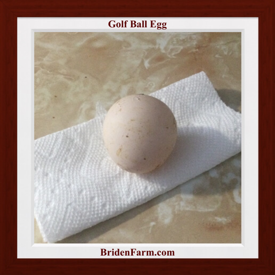 Golf Ball Egg