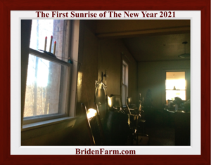 The First Sunrise of The New Year 2021