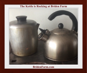 The Kettle is Rocking at Briden Farm