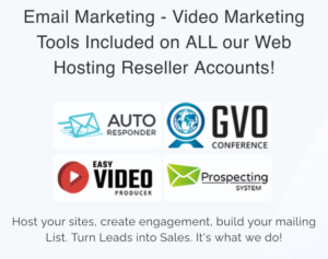 Website Hosting