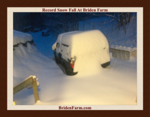 Record Snow Fall At Briden Farm
