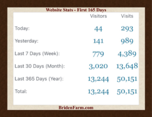 Website Stats First 165 Days