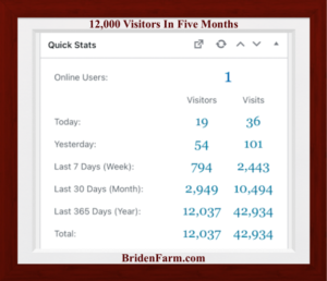 12,000 Visitors in Five Months