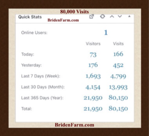 80,000 Visits