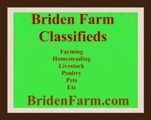 Briden Farm Classifieds