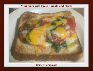 Mini Pizza with Fresh Tomato and Herbs