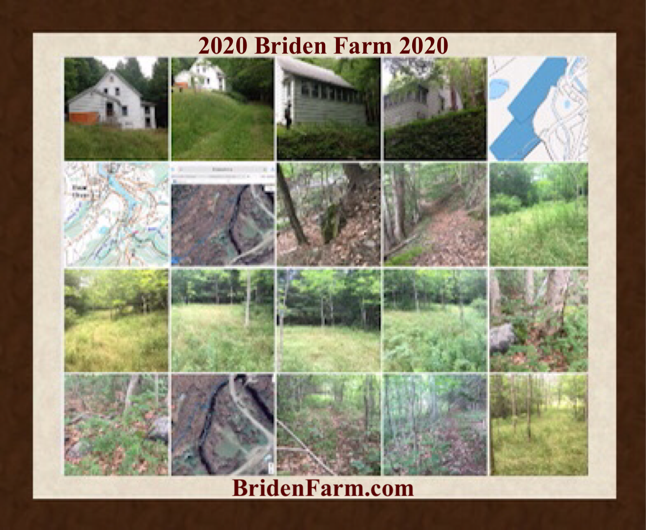 2020 Photos Briden Farm