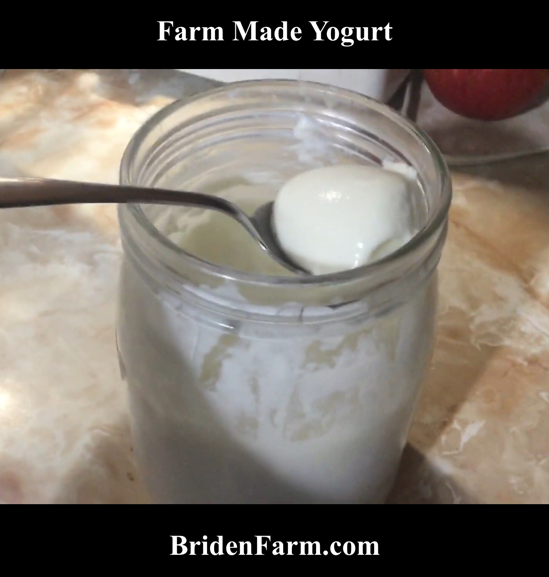 Farm Made Yogurt
