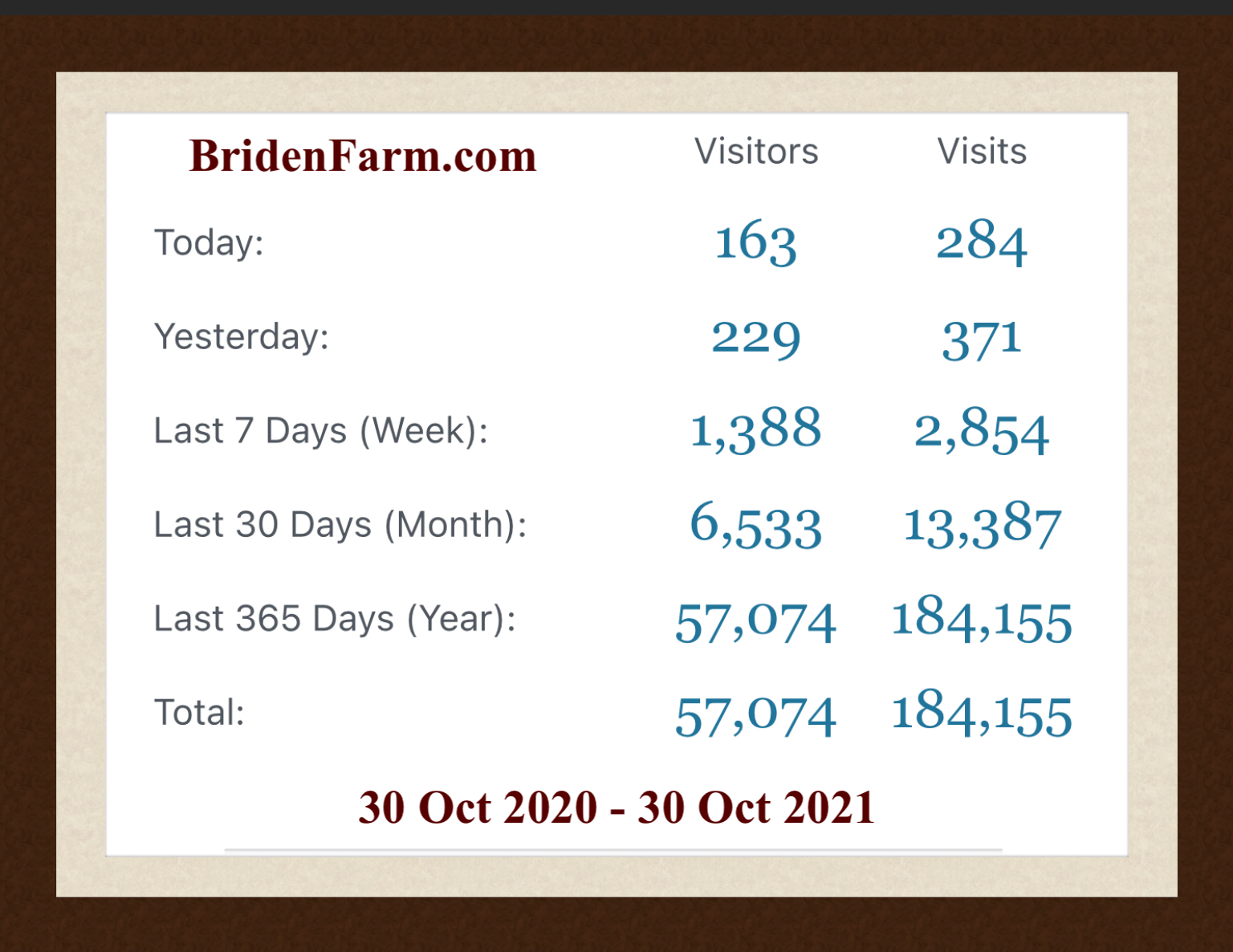Over 57,000 Visits in Our first Year