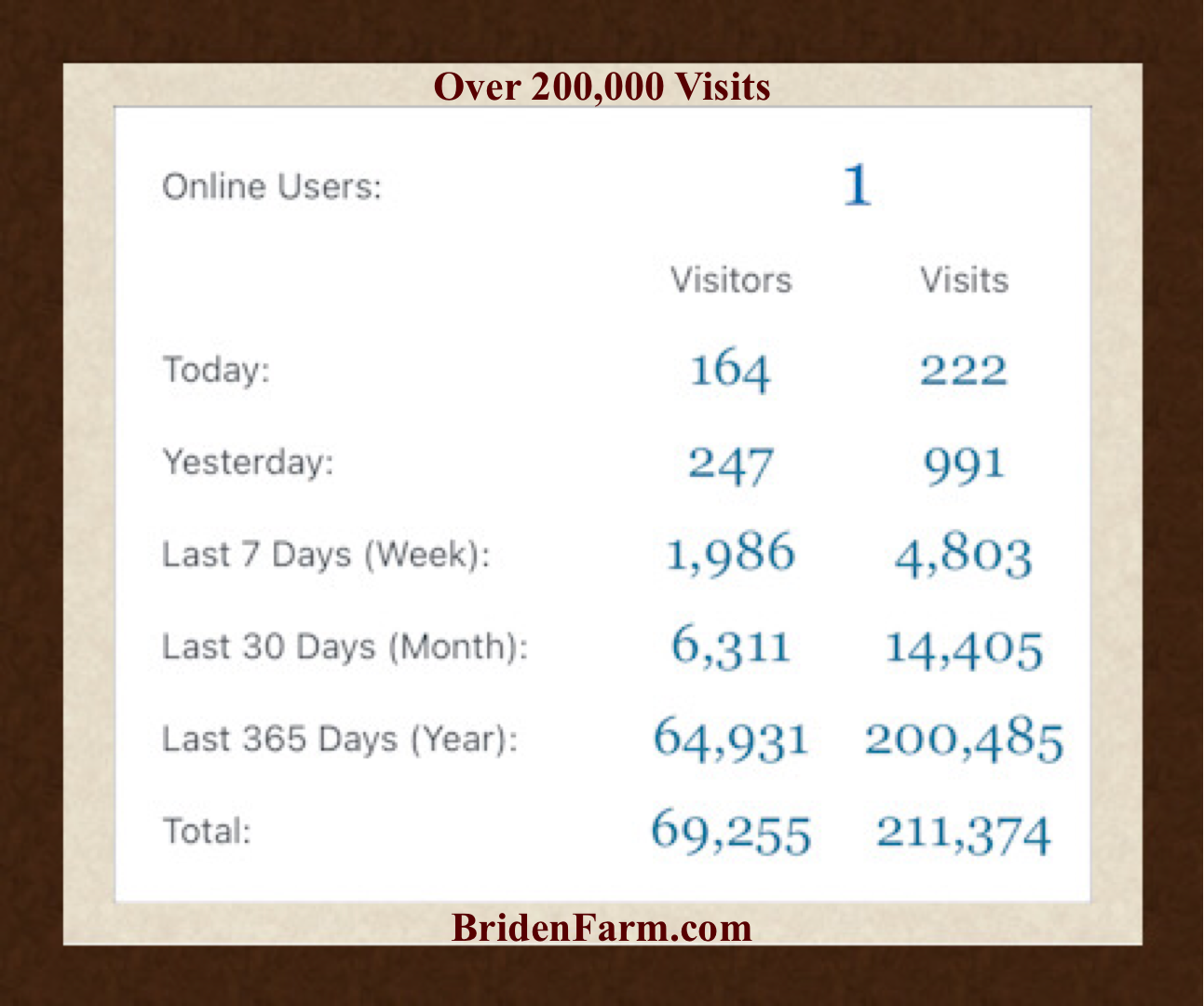 200,000 Visits