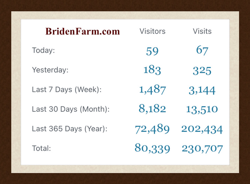 80000 Website Visitors