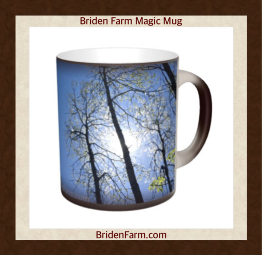 Briden Farm Magic Mug