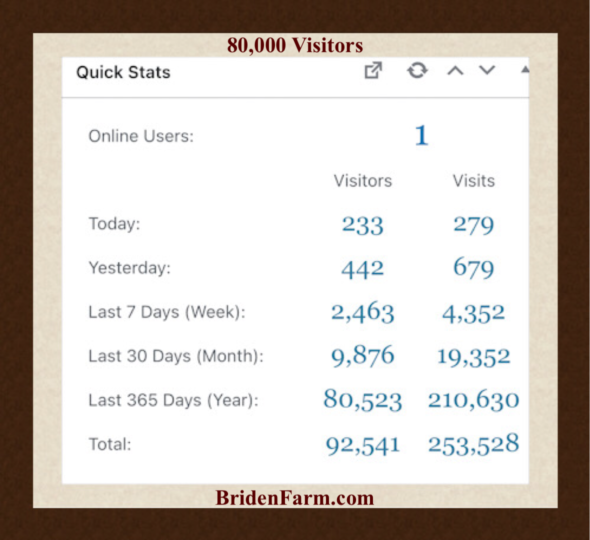80,000 Visitors
