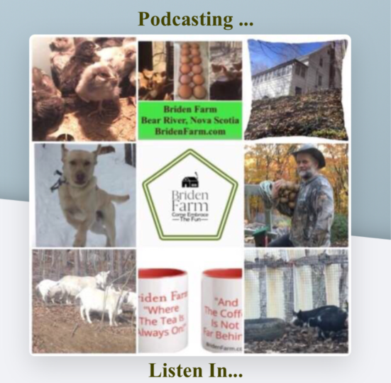 Podcasting from Briden Farm