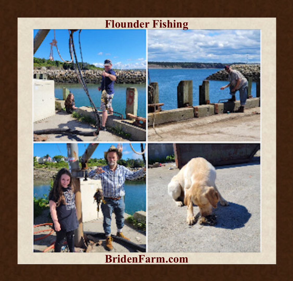 Flounder Fishing
