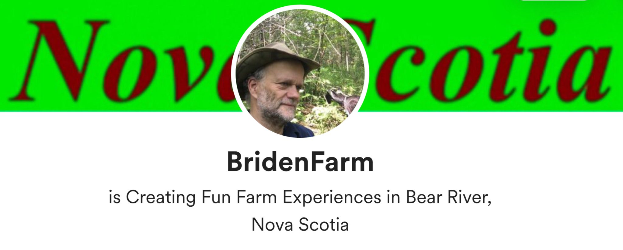 Briden Farm Creating Fun Farm Experiences