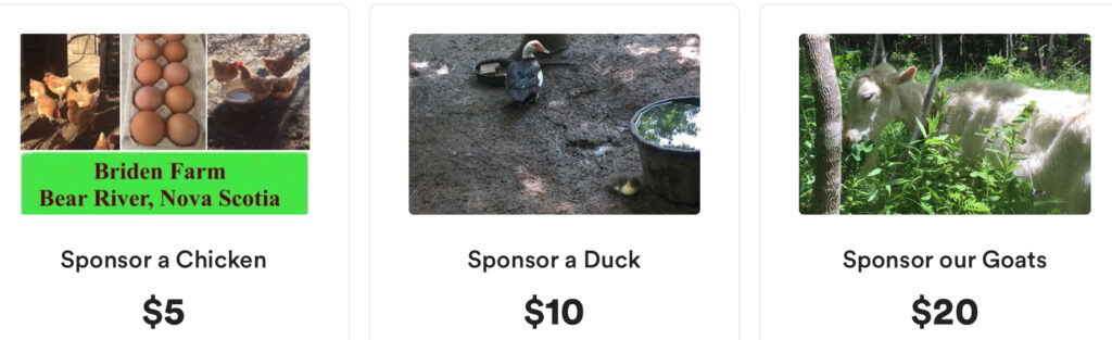 Sponsor a Chicken, Duck, or Goat