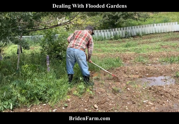Dealing with Flooded Gardens