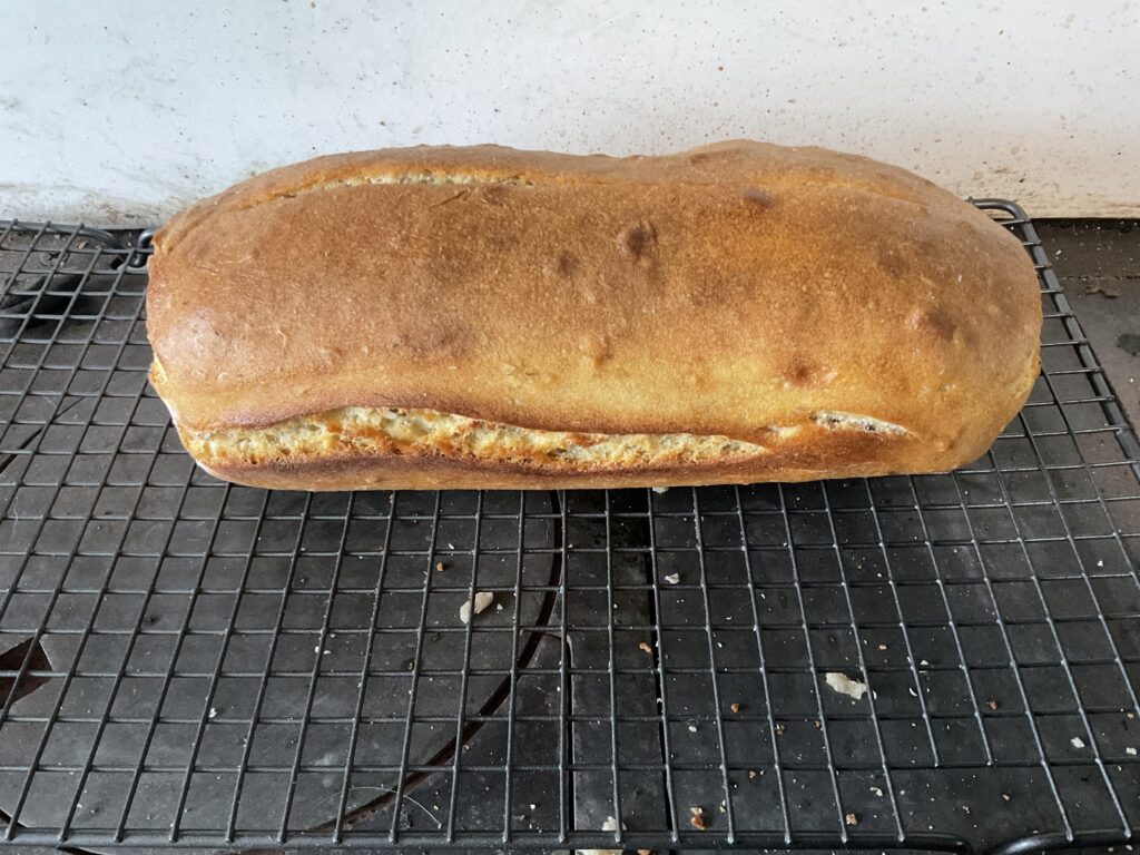 Sourdough Loaf 