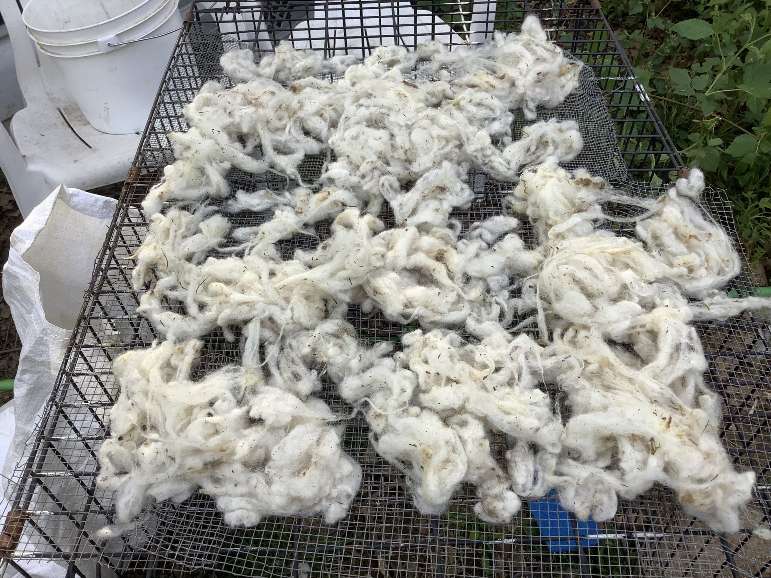 Washed Babydoll Wool