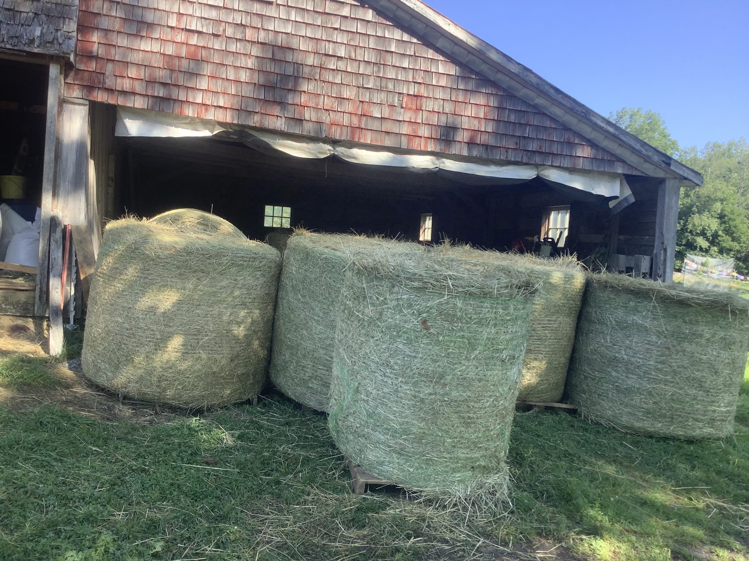 Large Round Hay Bales