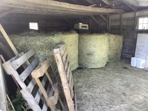 Large Round Hay Bales undercover in barn carport 