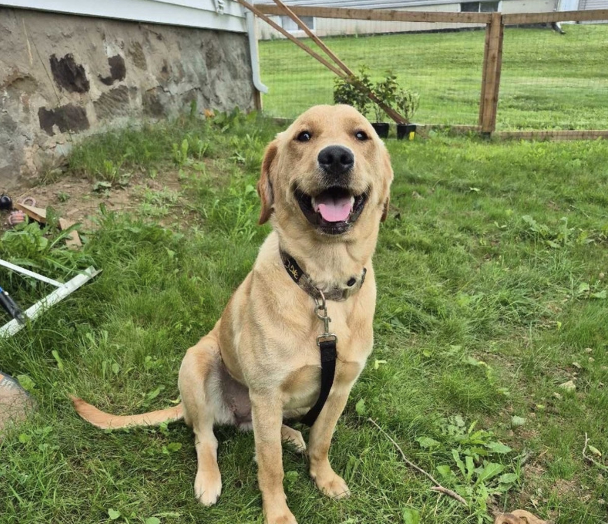 Blue at her new home
