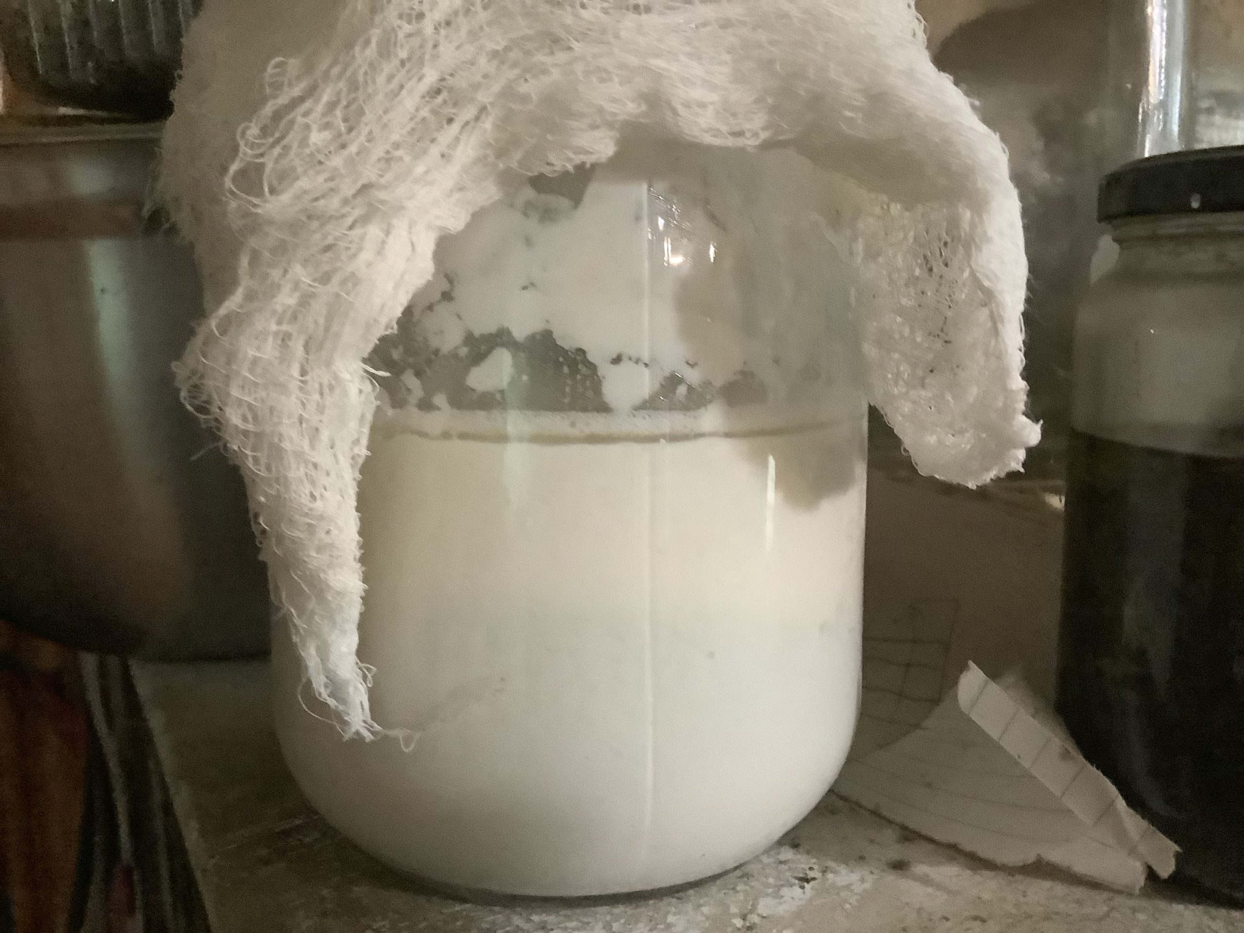 Sourdough Starter