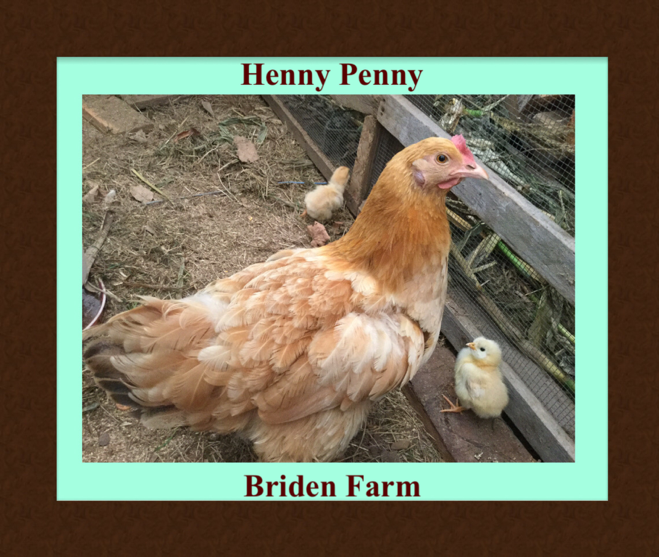 Henny Penny and Her Little Ones