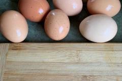 360E7911-F781-4734-A678-2D0840AF6A5F