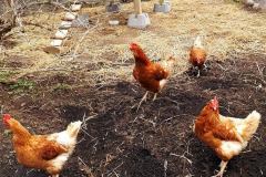 6A3277E6-0D10-4DFC-9EDD-42A5FAF056CE