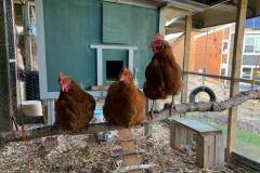 AF5DDEBC-8085-41E4-A73F-3CF506D985A9