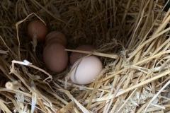 B53484B1-C910-447B-9B75-9BD2D7210CA3