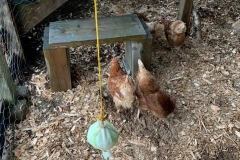 C421C0E9-3504-4551-9156-11E878F6F38C