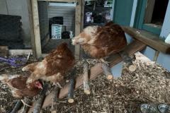 DD23B88D-000C-4F70-BBA3-99778658C6BA