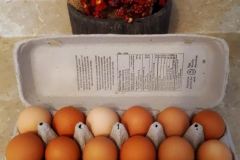 DEF88EEA-210F-4141-BD0E-BC6DD34A39E2