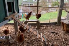 F0B88475-D7E5-42D1-A352-EAF3F5E73D54