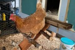 FD334805-022A-4970-ADAC-07A757B1FE14